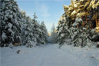 国外论坛爆料《生化危机9》情报 怪物可化作人形